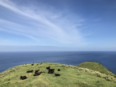 画像：隠岐の島 島巡りと絶景トレッキング 3日間