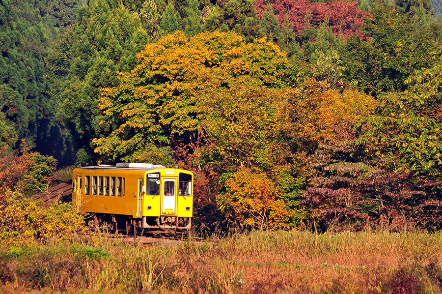 秋田内陸鉄道