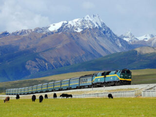 画像：世界最高所を走る 天空列車「青蔵鉄道」で行く遥かなるチベットの旅 7日間