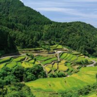 うきは つづら棚田(写真提供：福岡県観光連盟）