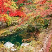 紅葉イメージ/岡山県観光連盟