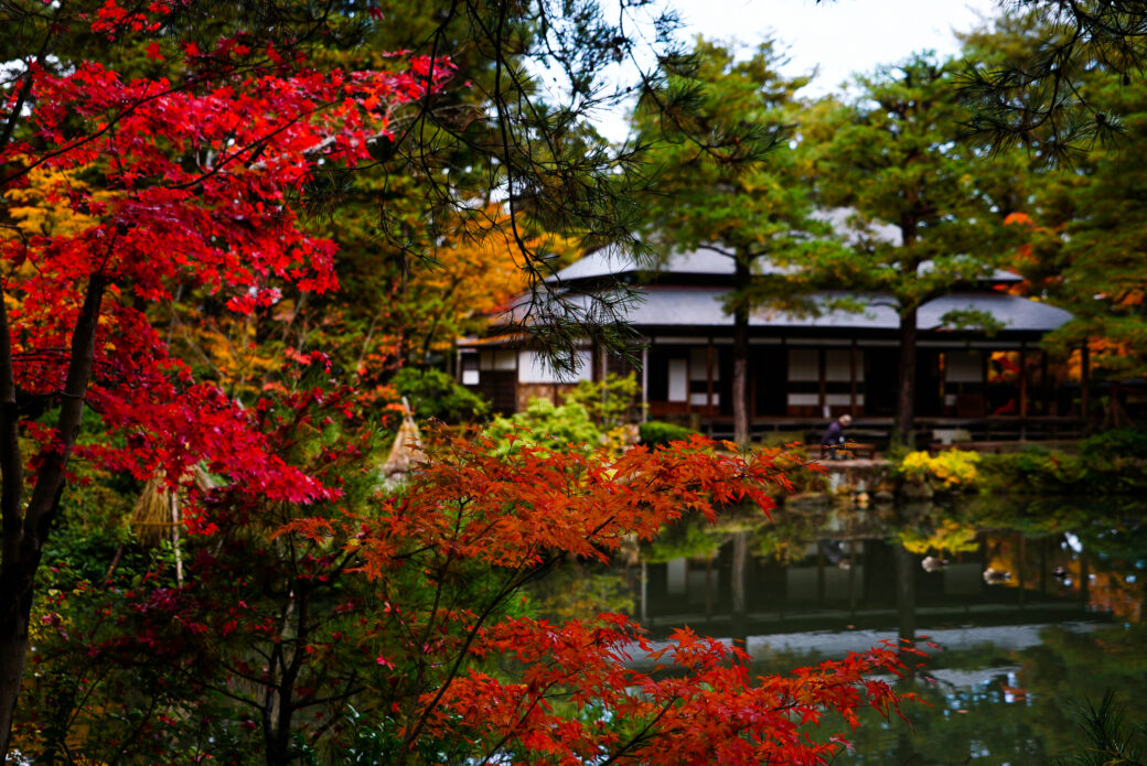 清水園