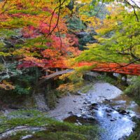 高雄清滝